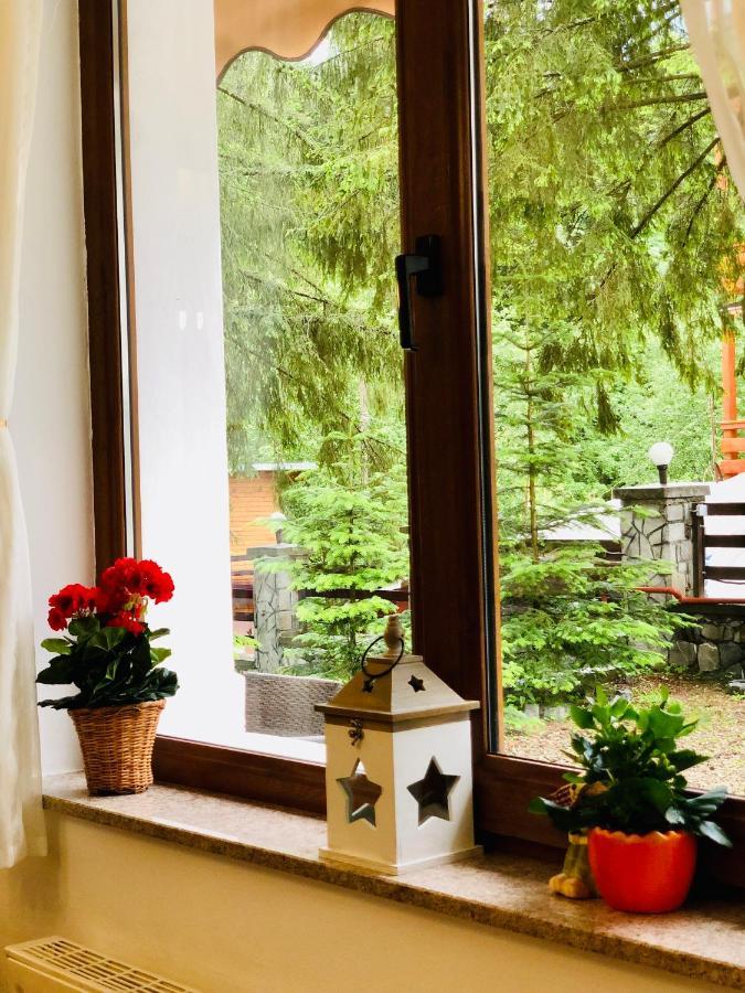 Pensiune & Restaurant Kalinder Буштени Экстерьер фото