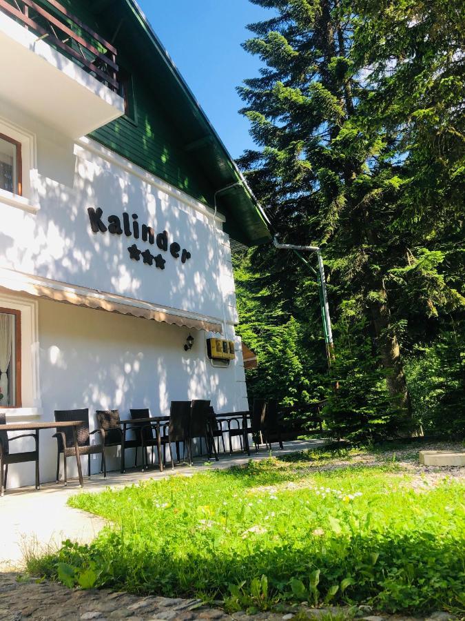 Pensiune & Restaurant Kalinder Буштени Экстерьер фото